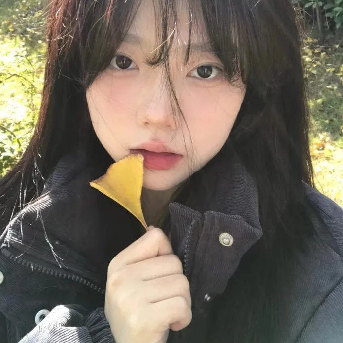 四条生命