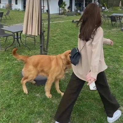 不敢跟你讲